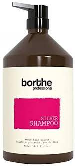 Borthe Professional Silver Shampoo Mor Şampuan
